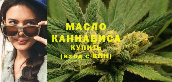 дмт Алексин