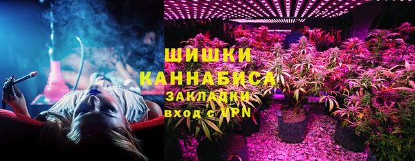 гидра Весьегонск