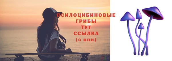 дмт Алексин